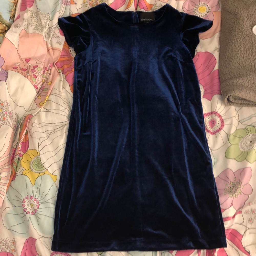 Blue Velvet Dress
